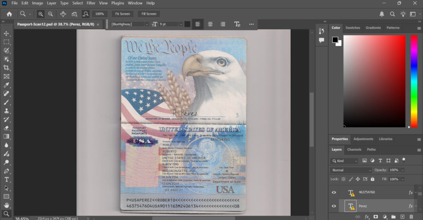 USA High Quality Passport