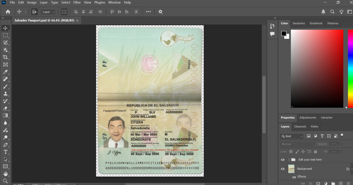 Salvador Passport PSD Template